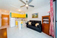 Studio in La Mata - ID36